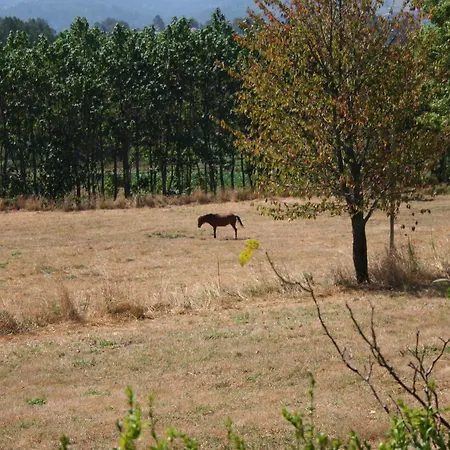 Casa Do Outeirinho- * Penedo (Viana do Castelo)