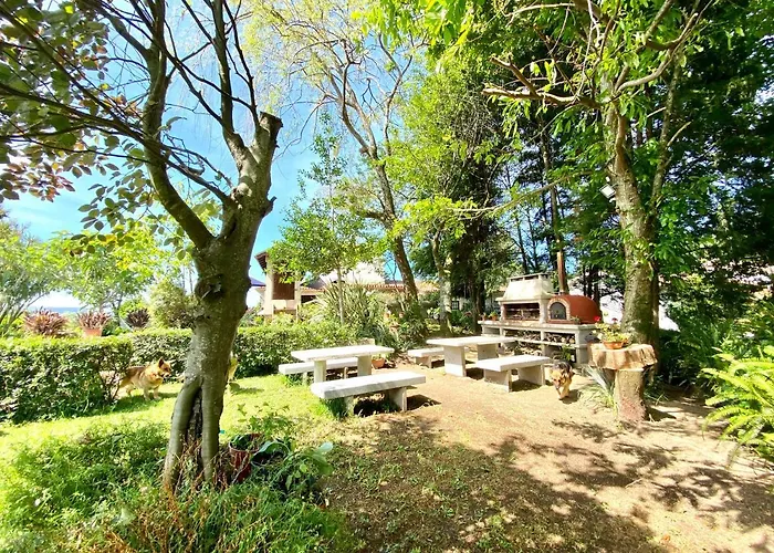 カントリーハウス Casa Do Outeirinho-