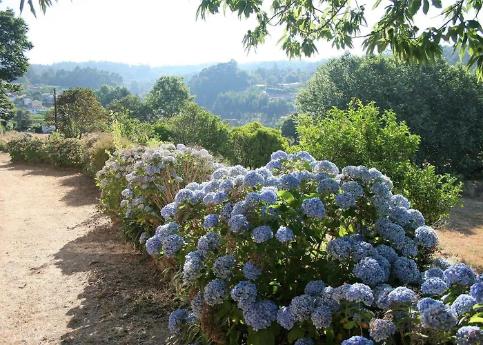 カントリーハウス Casa Do Outeirinho- *