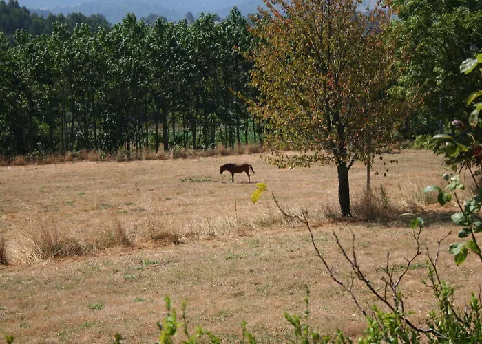 Casa Do Outeirinho- * Penedo